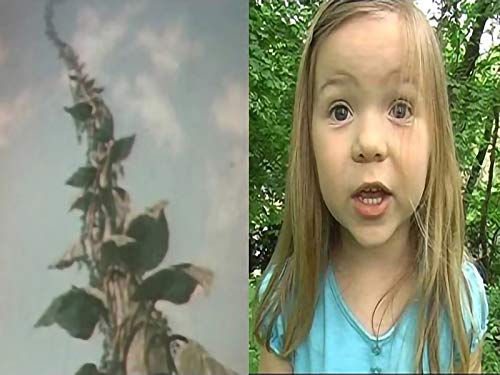 Jillian and the Beanstalk
