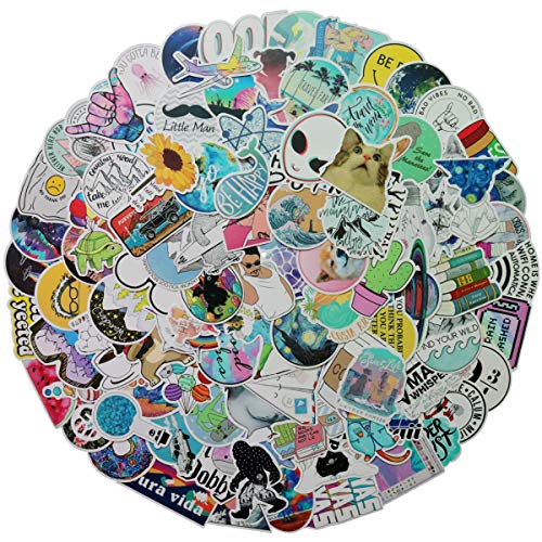 100 PCS Mixed Different Funny Internet Memes and Celebrity Stickers Network Popular Meme Sticker for Kids Laptop Skateboard Toy Stickers (Internet Memes)